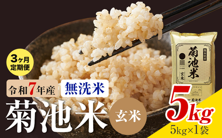 [3ヶ月定期便]熊本県産 菊池米 玄米 無洗米 5kg 1袋5kg 米 お米 令和7年産 九州産 熊本県産 送料無料[お申込み翌月に出荷予定]玄米 米