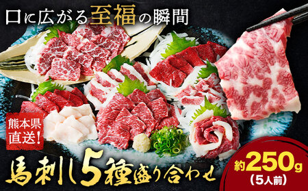 nh 5 荇킹 Zbg v250g 5lO F{ Ԑg ~ t^GS oq R[l Foodyfss30ȓɏoח\(yj)tF{ ers nh n  