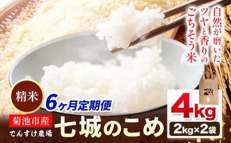 [6ヶ月定期便]令和7年産 精米 七城のこめ 4kg[30日以内に出荷予定(土日祝除く)]熊本県 菊池市 米 白米 ヒノヒカリ でんすけ農場