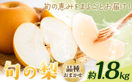 [先行予約]旬の梨 品種おまかせ 約1.8kg 日本フルーツ株式会社[2026年8月上旬-10月上旬頃出荷]熊本県 菊池市 梨 なし 豊水 秋月 新高 和梨 熊本県産