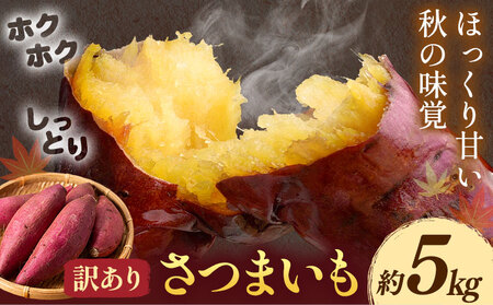 [先行予約]訳あり さつまいも 約5kg 日本フルーツ株式会社[2026年10月上旬-11月中旬頃出荷]熊本県 菊池市 さつまいも サツマイモ 訳あり 熊本県産