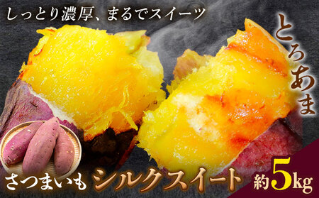 [先行予約]シルクスイート さつまいも 約5kg 日本フルーツ株式会社[2026年11月上旬-12月中旬頃出荷]熊本県 菊池市 さつまいも サツマイモ シルクスイート 熊本県産