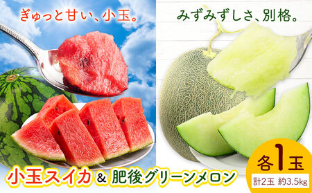 小玉スイカ&肥後グリーンメロン 食べ比べ 各1玉(計2玉 約3.5kg) 日本フルーツ株式会社 [5月中旬-7月末頃出荷] 熊本県 菊池市 西瓜 メロン 熊本県産