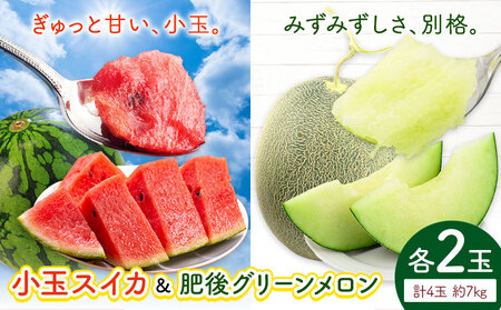 小玉スイカ&肥後グリーンメロン 食べ比べ 各2玉(計4玉 約7kg) 日本フルーツ株式会社 《5月中旬-7月末頃出荷》 熊本県 菊池市 西瓜 メロン 熊本県産