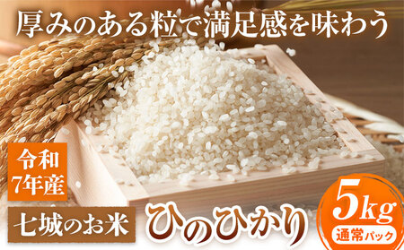 七城のお米 ヒノヒカリ 5kg 通常パッケージ 白米 精米 令和7年産 堀田農場[30日以内に出荷予定(土日祝除く)]お米 ひのひかり 熊本県 菊池市 熊本県産 九州産 送料無料