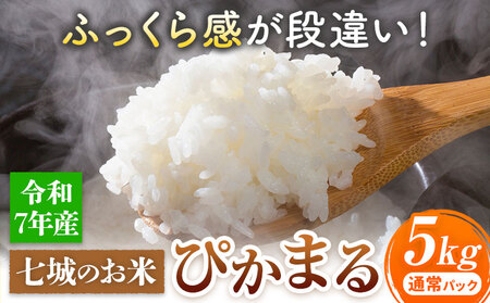 七城のお米 ぴかまる 5kg 通常パッケージ 白米 精米 令和7年産 堀田農場[30日以内に出荷予定(土日祝除く)]お米 熊本県 菊池市 熊本県産 九州産 送料無料