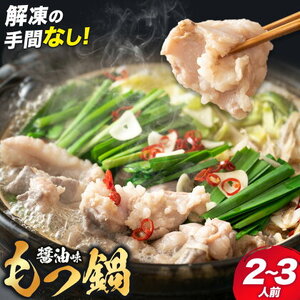 もつ鍋セット 2-3人前 スープ 中華麺 ホルモン 小腸 もつ鍋 空我[90日以内に出荷予定(土日祝除く)]熊本県 菊池市 ホルモン鍋 鍋セット 冷蔵 送料無料