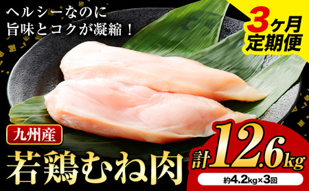[3ヶ月定期便]九州産若鶏ムネ肉 600g×7袋×3回 計12.6kg 鶏肉 お肉 ムネ肉 むね肉 小分け 冷凍 九州産 国産 熊本県 菊池市 送料無料[お申込み翌月から出荷]