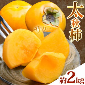 太秋柿 柿 約2kg 株式会社エフビーネット[10月上旬-11月上旬頃出荷]熊本県 菊池市 柿 かき たいしゅうがき 果物 フルーツ 秋の味覚 旬 デザート