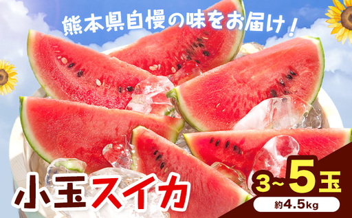 【先行予約】小玉スイカ 3～5玉 約4.5kg 日本フルーツ株式会社 《4月下旬-7月下旬頃出荷》 こだますいか 西瓜 すいか フルーツ 果物 くだもの 旬 熊本県 菊池市 熊本県産 くまもと