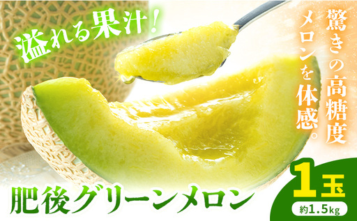 [先行予約]肥後グリーンメロン 1玉 約1.5kg 日本フルーツ株式会社[5月上旬-7月下旬頃出荷]熊本県 菊池市 メロン 熊本県産