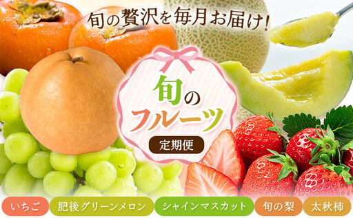 [5回定期便]先行予約 旬のフルーツ定期便 いちご メロン 梨 シャインマスカット 柿 日本フルーツ株式会社[2027年1月中旬-11月中旬頃出荷]熊本県 菊池市 果物 くだもの フルーツ デザート