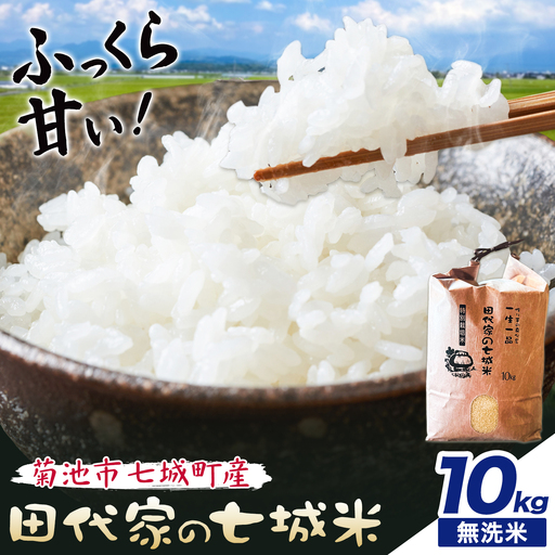 令和7年産 菊池市七城町産 田代家の七城米 七城ヒノヒカリ玄無洗米 10kg 田代こめや[30日以内に出荷予定(土日祝除く)]熊本県 菊池市 米 お米 精米 ひのひかり 菊池市産 熊本県産 九州産 送料無料