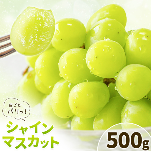 シャインマスカット 500g 株式会社エフビーネット[8月中旬-9月上旬頃出荷]熊本県 菊池市 ぶどう ブドウ マスカット 果物 フルーツ デザート ギフト ご贈答 熊本県産
