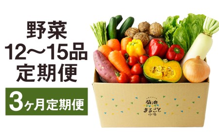 【定期便3回】野菜 12品〜15品 詰め合わせ 3ヶ月定期便【メロンドーム】
