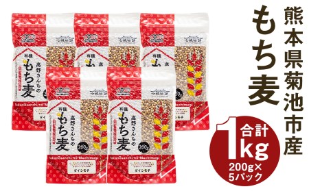 熊本県菊池産 もち麦 計1kg（200g×5パック）七城物語 高野さんちのもち麦