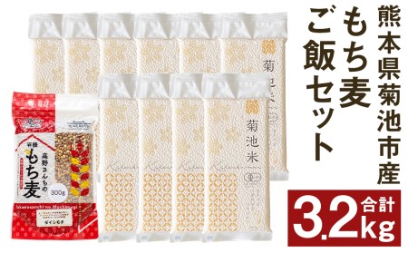 熊本県菊池産 ヒノヒカリ もち麦 セット 計3.2kg 七城物語 高野さんちのもち麦ごはん 自然栽培米