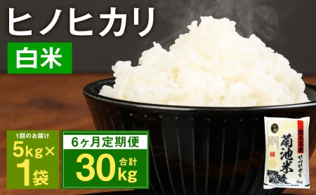 [6ヶ月定期便]熊本県菊池産 ヒノヒカリ 5kg×6回 計30kg 精米 お米 白米