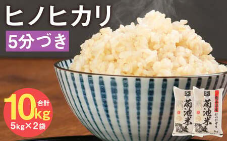 熊本県菊池産 ヒノヒカリ 5kg×2袋 計10kg 5分づき米 お米 分づき米 《30日以内に出荷予定（土日祝除く）》