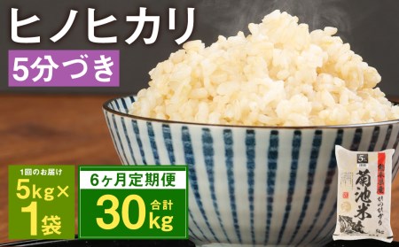 [6ヶ月定期便]熊本県菊池産 ヒノヒカリ 5kg×6回 計30kg 5分づき米 お米 分づき米
