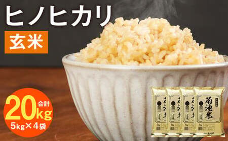 熊本県菊池産 ヒノヒカリ 5kg×4袋 計20kg 玄米 米 お米《30日以内に出荷予定（土日祝除く）》