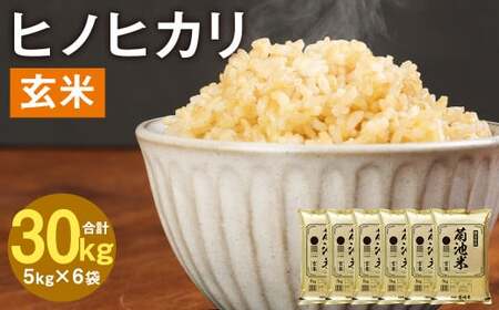 熊本県菊池産 ヒノヒカリ 5kg×6袋 計30kg 玄米 米 お米《30日以内に出荷予定（土日祝除く）》