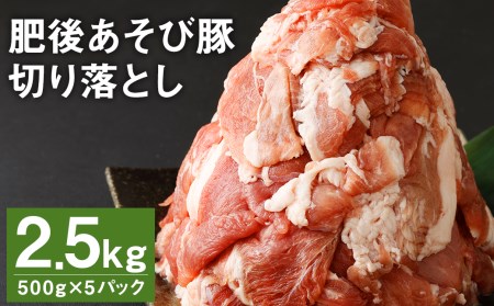 肥後 あそび豚 切落し 計2.5kg(500g×5パック) 国産 豚肉