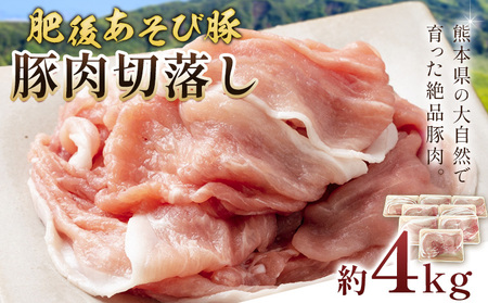 ゠ѓؐؗ 4kg Ђ܉YƁs90ȓɏoח\(yj)t Ԃ u^ ؓ  uh ؂藎Ƃ Y BY F{Y ersY Ⓚ 