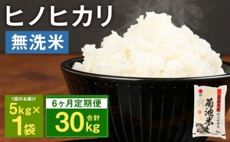 [定期便6ヶ月]熊本県菊池産 ヒノヒカリ 無洗米 計30kg(5kg×6回)精米 お米 白米