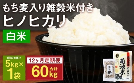[定期便12ヵ月]熊本県菊池産 ヒノヒカリ 精米 計60kg(5kg×12) もち麦入り雑穀米 計2.4kg(200g×12) 低温保管 残留農薬ゼロ