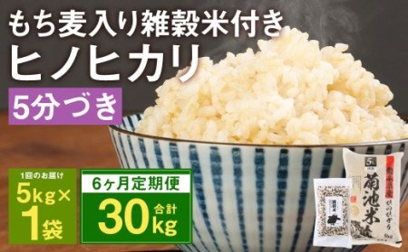 [定期便6ヵ月]熊本県菊池産 ヒノヒカリ 5分づき米 5kg もち麦入り雑穀米 200g 計31.2kg
