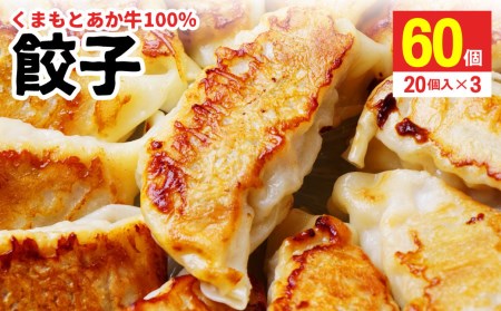 くまもと あか牛 100% 餃子 20個入り×3(計60個) 牛肉