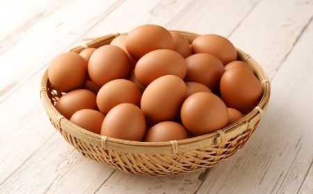 [3回定期便] にんにくたまご 60個×1ケース 毎月(計3回) たまご 卵