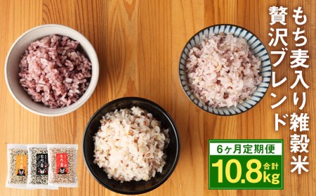 [6ヶ月定期便] 熊本県 菊池産 もち麦入り雑穀米 贅沢ブレンド 計10.8kg 600g×3種
