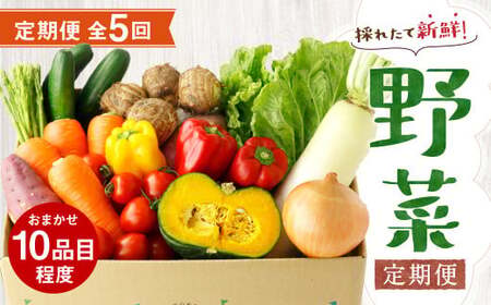 [定期便5回] 野菜 定期便 10品程度 熊本県 菊池市産 やさい [メロンドーム]