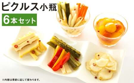 ピクルス 小瓶 (130〜150g)×6本 セット 野菜 やさい 瓶詰め [メロンドーム]