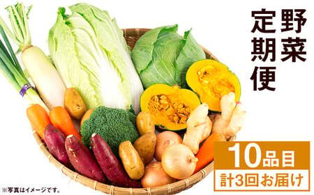[定期便年3回] 旬の野菜 10品 セット やさい 野菜 詰め合わせ 詰合せ 定期便[養生市場]