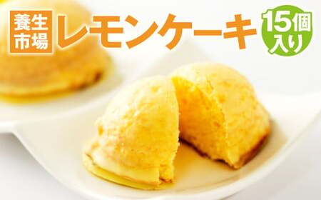 レモン ケーキ 15個入り 計750g 菓子 お菓子 スイーツ [養生市場]