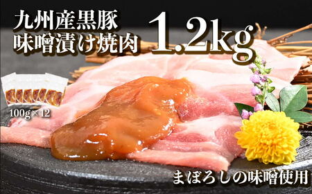 オアシス九州 九州産黒豚(味噌漬け)切り落とし 1.2kg(小分け) 冷凍
