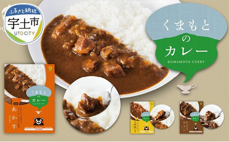 くまもとカレーセット(あか牛・馬すじ・大阿蘇どり)_V29-0002