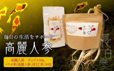 高麗人参 乾燥チップス10g、コラボ茶(高麗人参、ほうじ茶)30包_V28-0031