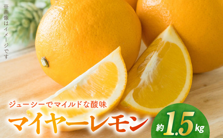 福島オレンジ農園 マイヤーレモン 1.5kg