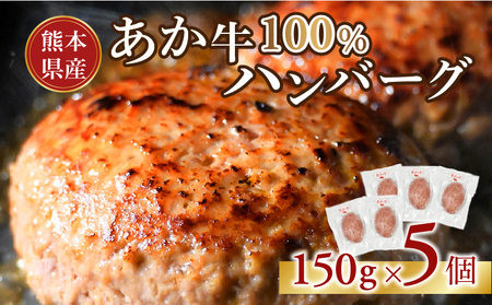オアシス九州 熊本県産あか牛ハンバーグ150g×5個