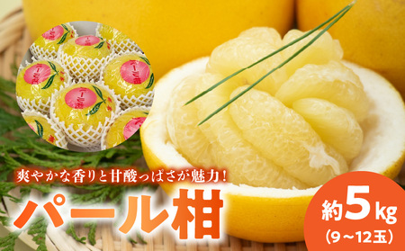 あいあい パール柑 約5kg