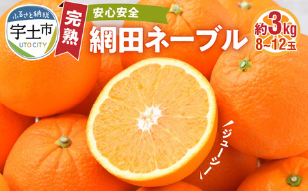 村田果樹園 減農薬で安心安全な完熟網田ネーブル 約3kg(8玉〜12玉)