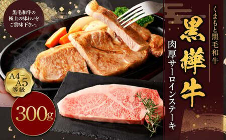 黒樺牛 肉厚サーロインステーキ 約300g お肉 肉 牛肉 ブランド黒毛和牛 和牛 黒毛和牛 ブランド牛 サーロイン ステーキ ロースステーキ 冷凍 国産 九州産 冷凍