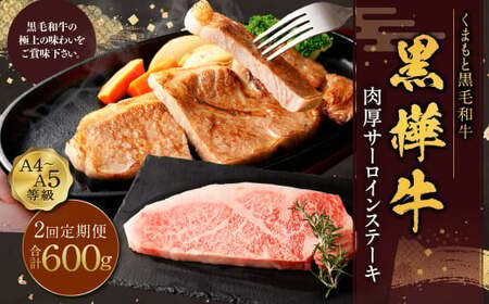 [定期便]黒樺牛 [2回定期便]肉厚サーロインステーキ 約300g 合計約600g お肉 肉 牛肉 ブランド黒毛和牛 和牛 黒毛和牛 ブランド牛 サーロイン ステーキ ロースステーキ 冷凍 国産 九州産 冷凍