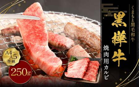 黒樺牛 焼肉用カルビ 250g×1パック お肉 肉 牛肉 ブランド黒毛和牛 和牛 黒毛和牛 ブランド牛 焼き肉 焼肉 BBQ バーベキュー カルビ 冷凍 国産 九州産 冷凍