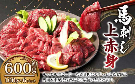 [フジチク ふじ馬刺し]馬刺し 上赤身(600g) 馬肉 馬刺 赤身 タレ付き 肉 お肉 冷凍 熊本県 上天草市