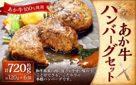 あか牛100%ハンバーグセット(あか牛ハンバーグ約120g×6個) 合計720g あか牛 ハンバーグ 牛肉 お肉 肉 褐牛 褐毛和種 和牛 国産牛 セット 熊本県 上天草市 冷凍